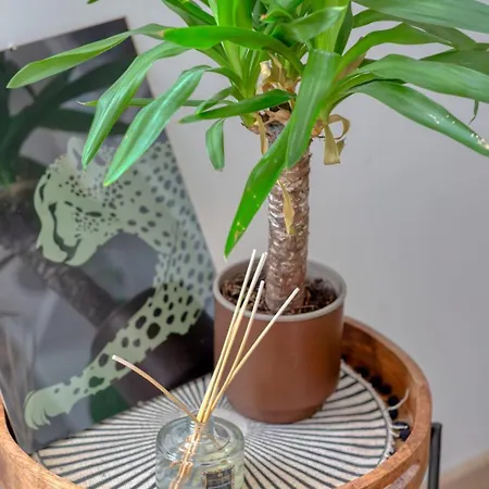 Tatil Evi La Kaz Bali Jolie Maison De Avec Jardin *